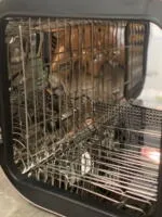 Máy tiệt trùng Fatz queen 1 (BH 9/7/2026), nobox - Ảnh 3