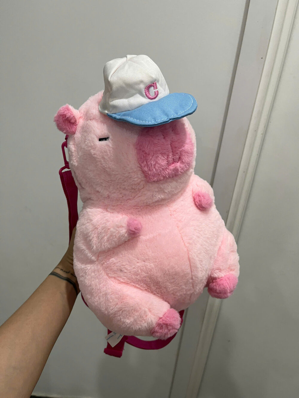 Cặp gấu bông cappybara