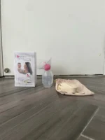 Phễu hứng sữa NatureBond số 1 Mỹ (new fullbox) - Ảnh 9