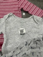 Set 3 bodysuit dài tay mix brandcarter, h&m,.. 3-6M - Ảnh 2