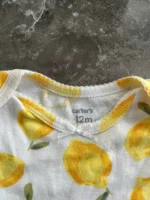 Set 4 bodysuit Carter's cho bé gái (9 đến 12 tháng) - Ảnh 3