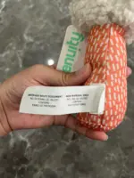 Lục lạc cầm tay hình gấu Nate Ingenuity ingenuity - Ảnh 3