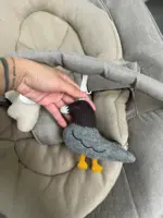 Nôi nuna leaf grow màu biscostti kèm thanh đồ chơi - Ảnh 29