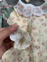 Set 2 bộ bodysuit dài tay hoa nhí vintage Chikpea Organic (size 6-9m) - Ảnh 12