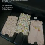 Set 3 món body đùi cánh tiên Next baby họa tiết hoạt hình ( size 9/12m, 12/18m, 1.5/2y )