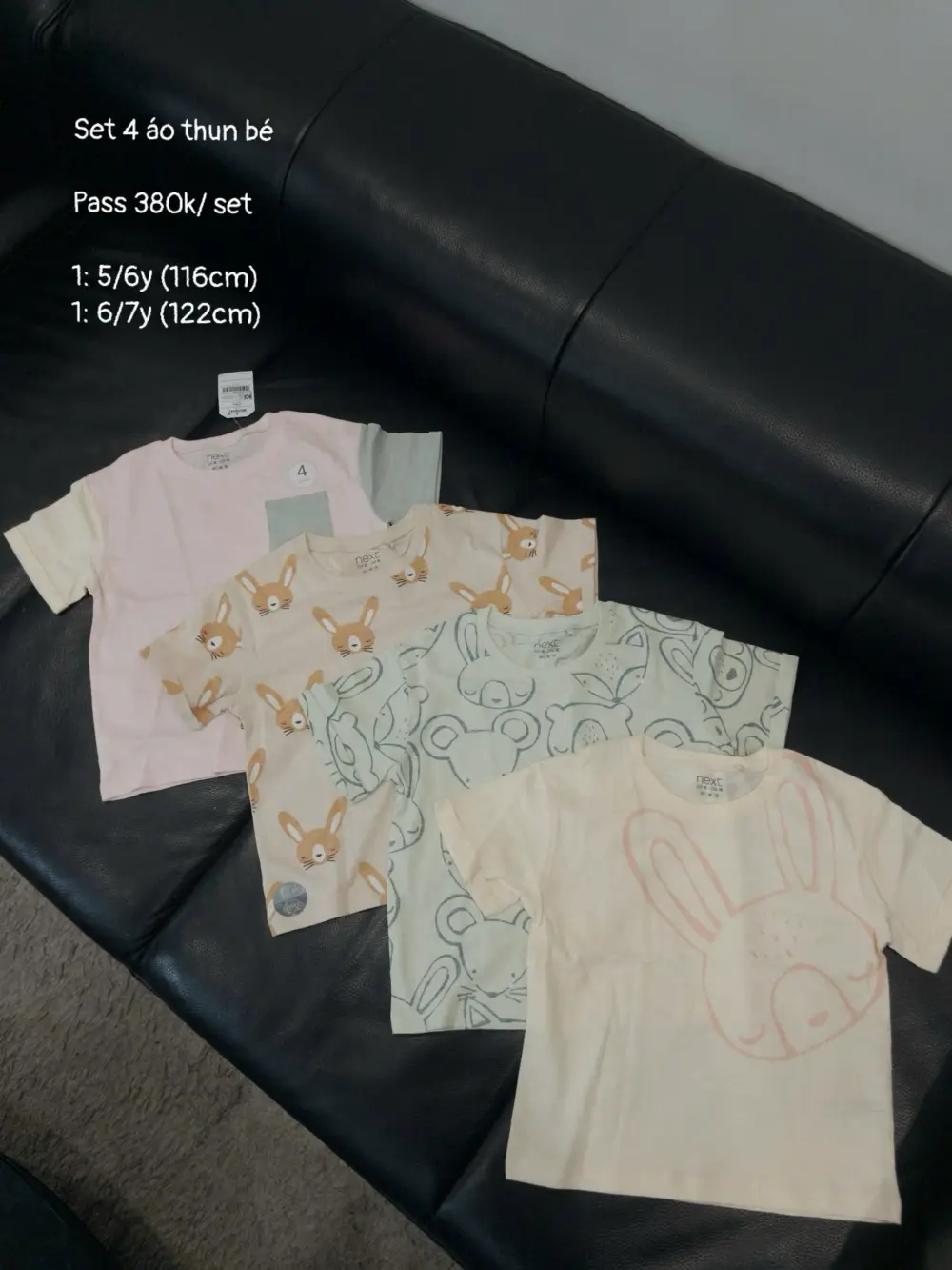 z7340301732701_d54743d99939bf3e64a609e0f3b4eb3e Set 4 áo thun Next baby 4 màu họa tiết thỏ (Size 5/6y, 6/7y) - Ảnh 1