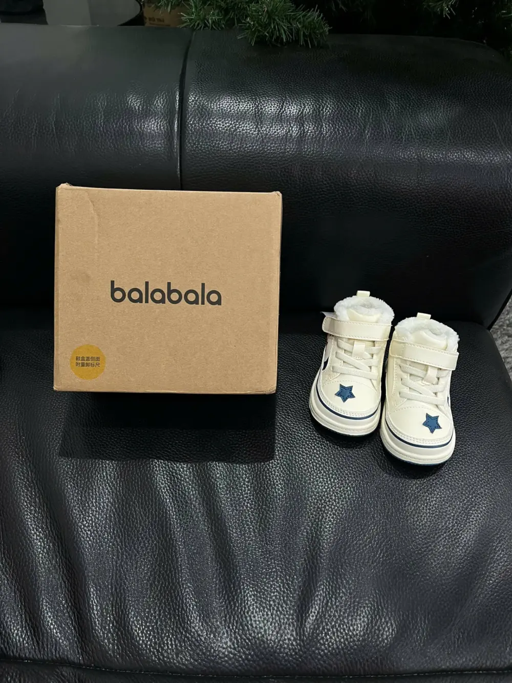 Giày thể thao balabala ngôi sao lót lông ( full box) 12cm size 19 - Ảnh 9