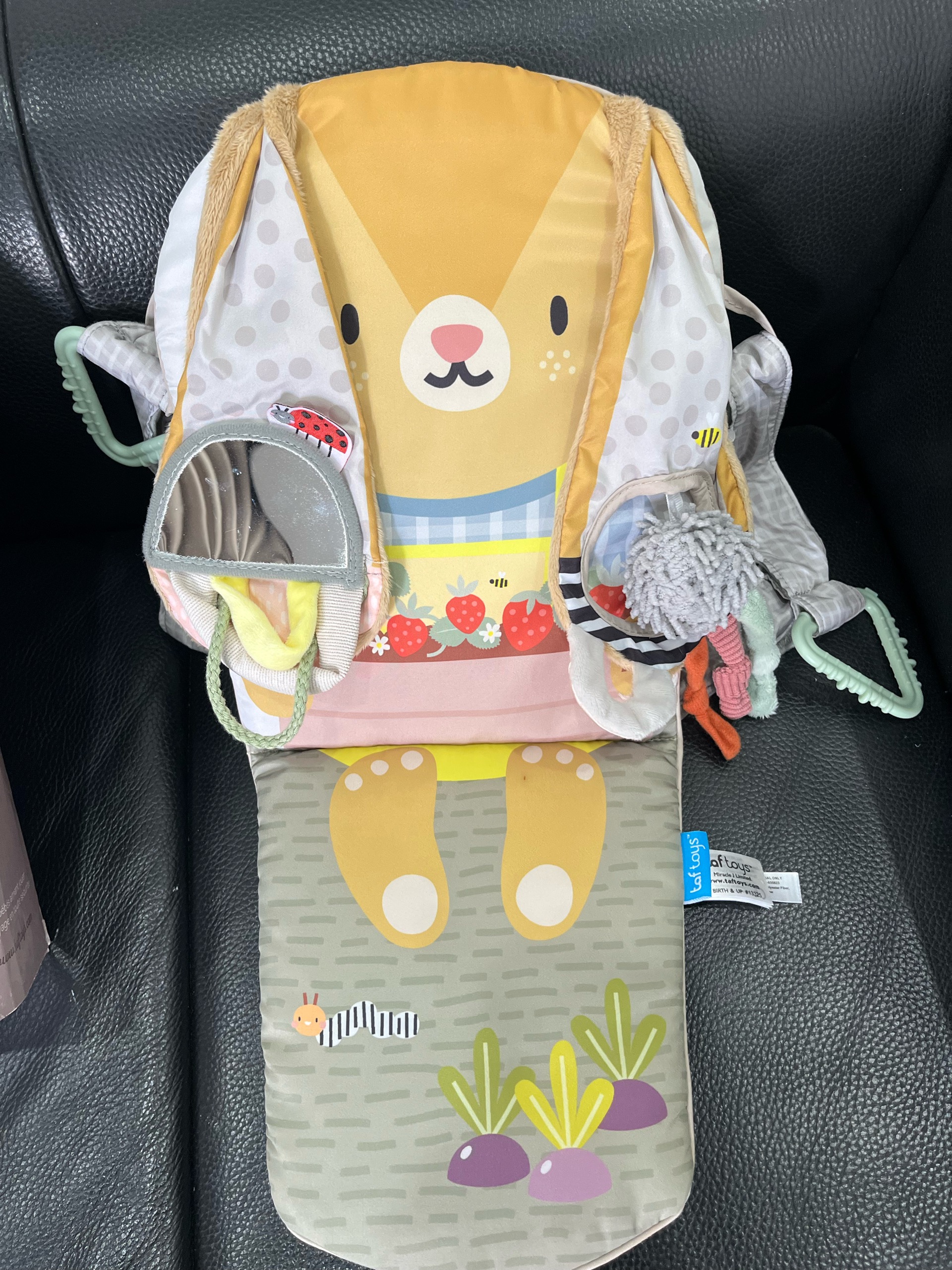 Đồ chơi treo có nhạc Taftoys (fullbox) - Ảnh 13