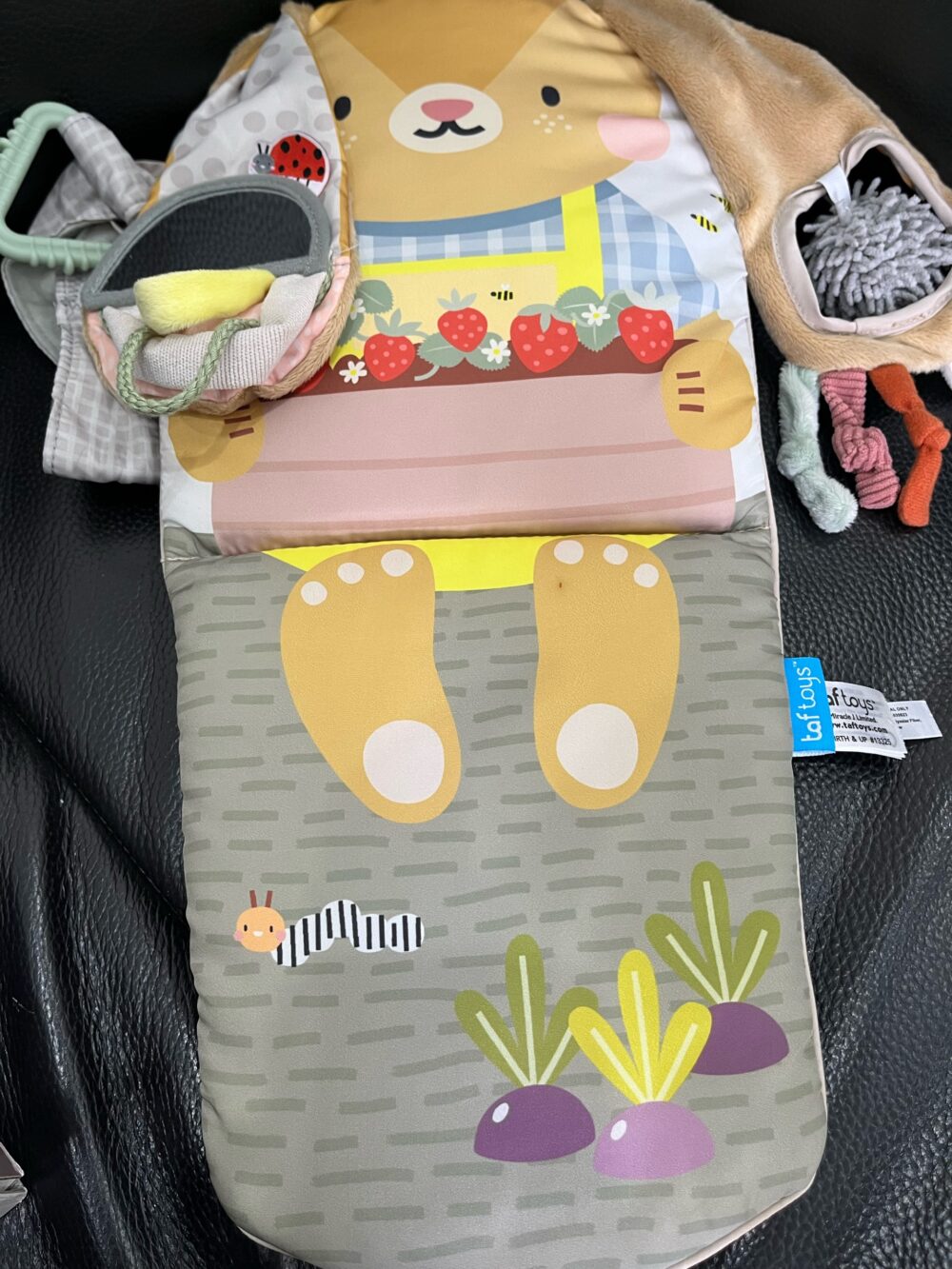 Đồ chơi treo có nhạc Taftoys (fullbox) - Ảnh 8