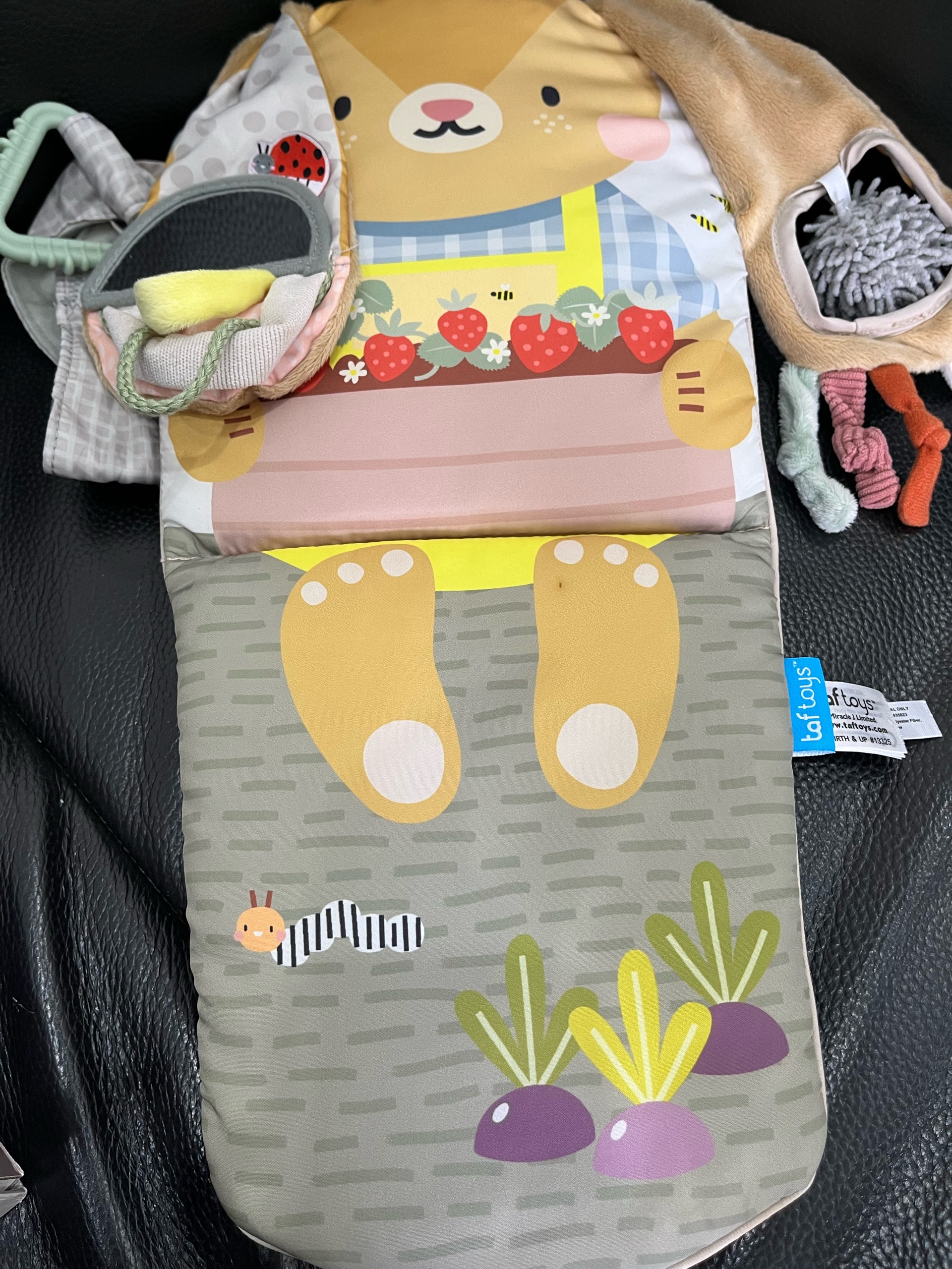 Đồ chơi treo có nhạc Taftoys (fullbox) - Ảnh 8