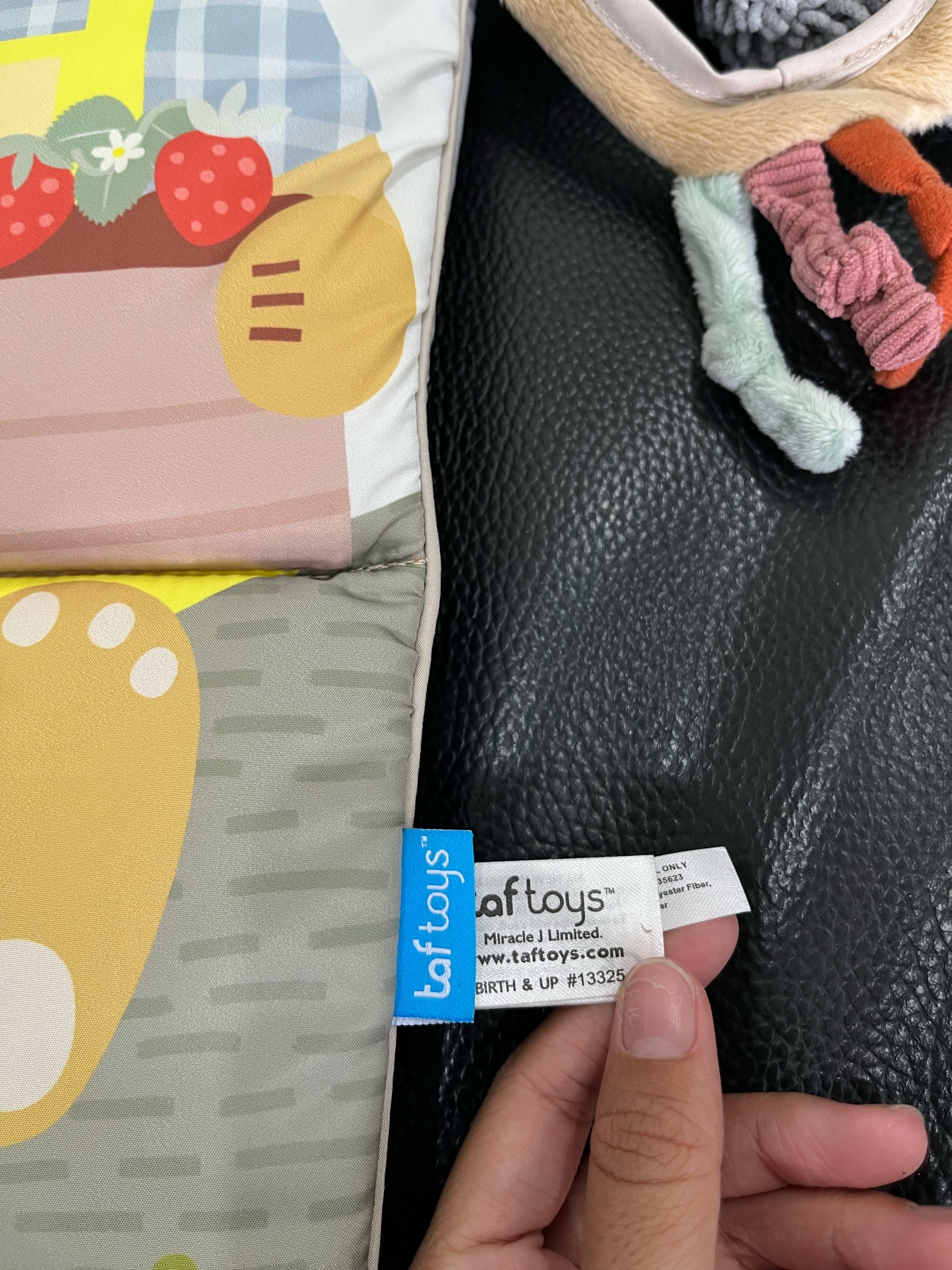 Đồ chơi treo có nhạc Taftoys (fullbox) - Ảnh 7