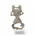 Địu Ergobaby Alta Hipseat màu be, tặng kèm yếm địu (cho bé 4m/5.5kg -> 20kg)