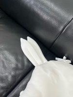 Gối thỏ Raras vải all season (size:0->2y) - Ảnh 7