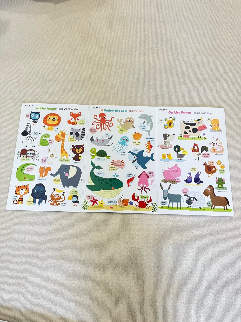 Set 3 bảng gấp thông thái song ngữ nhiều chủ đề Lalala baby 96x50cm ( Giấy ford 80 cứng) - Ảnh 7