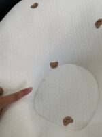 Gối chóng trào ngược Rototo bebe vải cotton lụa mát hoạ tiết gấu màu be - Ảnh 7