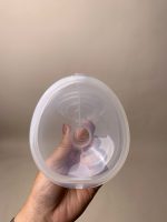Máy hút sữa Medela Pum in Style Maxflow hand free (cúp rảnh tay) - Ảnh 13