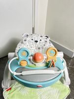Ghế tập ngồi & ăn dặm Fisher Price 3in1 Hoạ tiết báo trắng ( tối đa 11kg3) - Ảnh 13