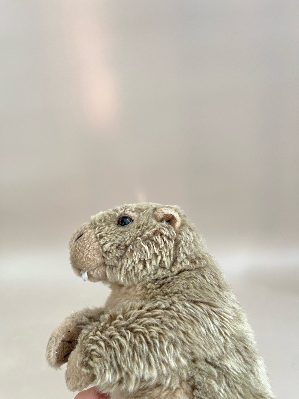 Thú bông sóc Marmot - Bon Ton Toys - Ảnh 8