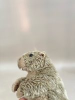 Thú bông sóc Marmot - Bon Ton Toys - Ảnh 8