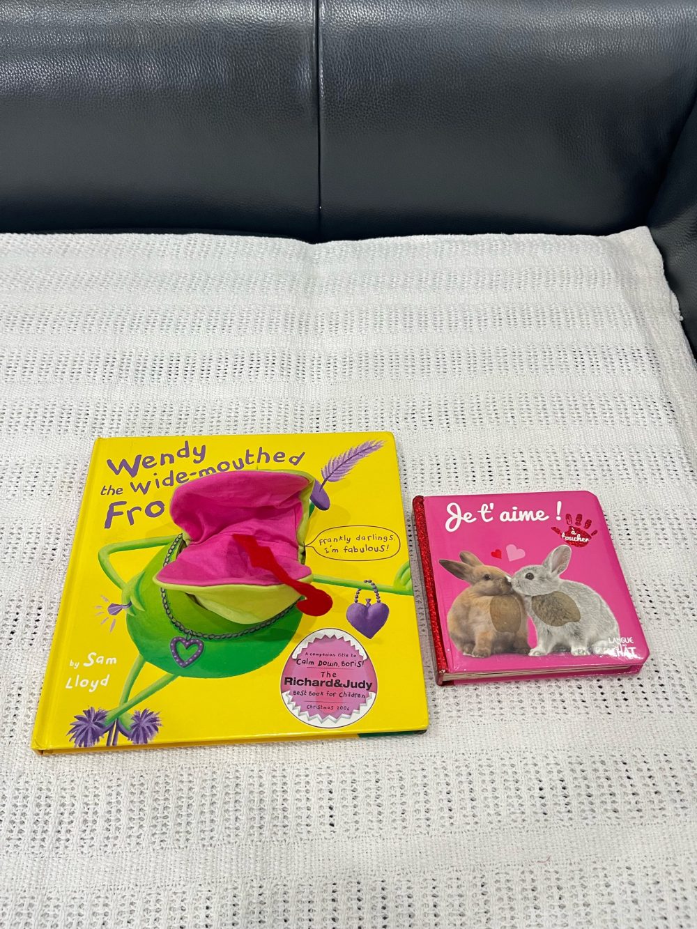 Set 2 cuốn sách rối tay Wendy the Wide-mouthed Frog và Je’aime - Ảnh 7