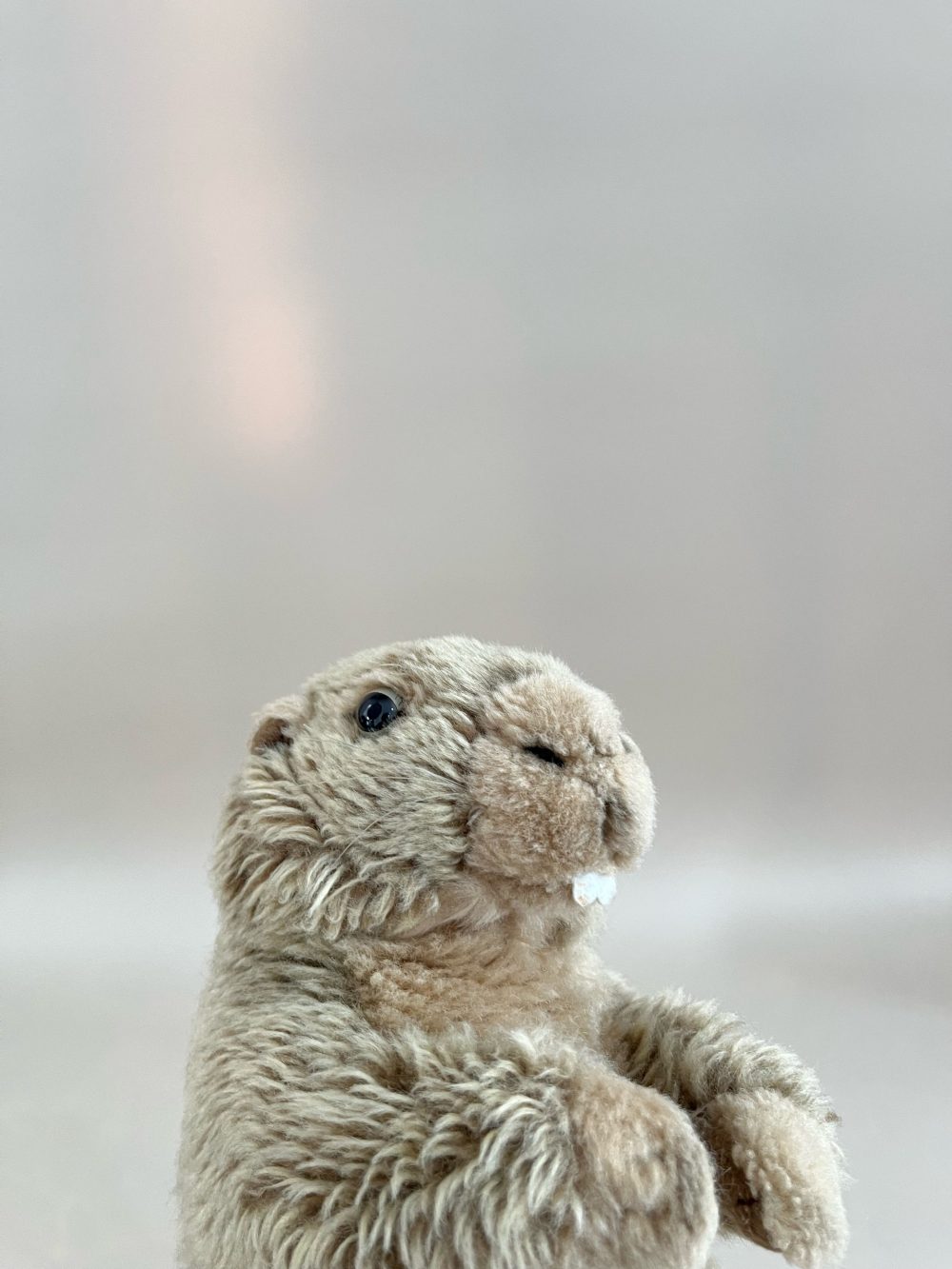 Thú bông sóc Marmot - Bon Ton Toys - Ảnh 6