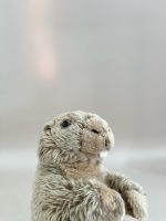 Thú bông sóc Marmot - Bon Ton Toys - Ảnh 6