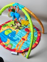 Thảm chơi treo đồ chơi Bright Starts Safari Tales và gối đỡ (full box) - Ảnh 3