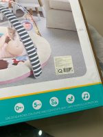 Thảm vải nằm chơi Telun Baby (ConCung) có nhạc, đèn, bảng điểu khiển màu xám (fullbox) - Ảnh 14