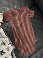 Set 4 bộ bodysuit Gerber chủ đề khủng long (size 6→9m) - Ảnh 25