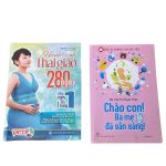 Combo 2 sách chào con ba mẹ đã sẵn sàng và hành trình thai giáo 280 ngày