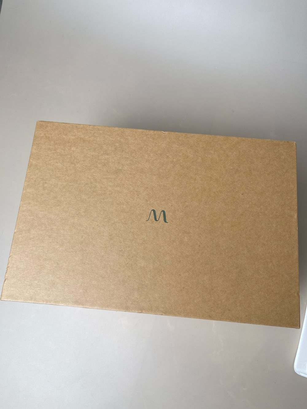 Máy hút sữa Willow 360 ( full box) kèm thêm phụ kiện Container & Flange - Ảnh 2