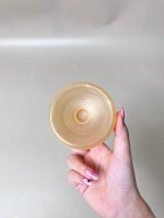Set 2 Núm trợ ti thyseed và núm trợ ti maam’s Choice ( còn hộp đựng ) - Ảnh 3