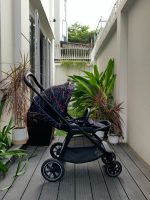Xe đẩy Nuna Triv Next RainBown Limited Collection (sơ sinh - 4y ~22,6kg) - Ảnh 3